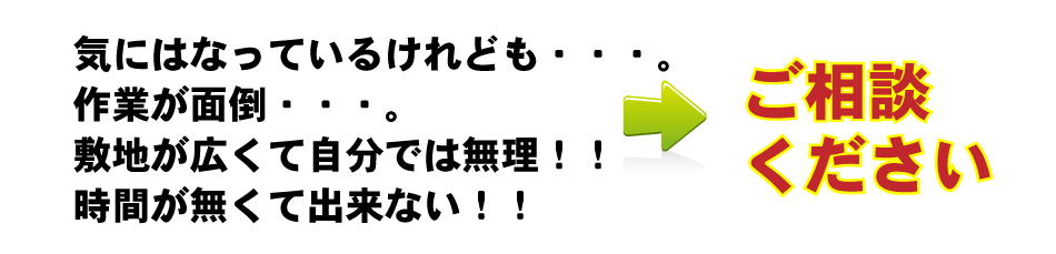 ご相談ください