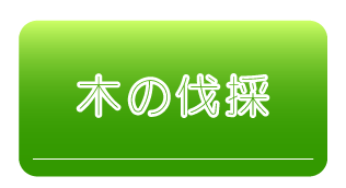 木の伐採サービスの詳細