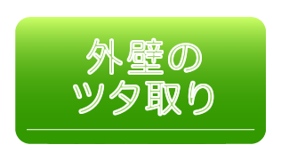 外壁のツタ取りサービスの詳細